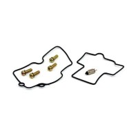 Kit Revisione Carburatore
