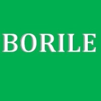 Borile