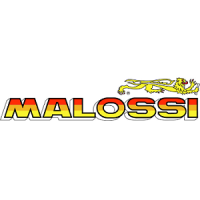 Malossi