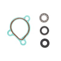 Kit Revisione Pompa Acqua