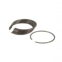 Anello Elastico