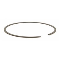 Anello Elastico