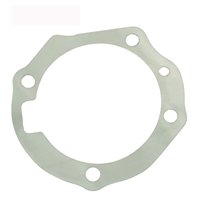 Guarnizione Smeriglio
