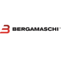Bergamaschi
