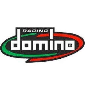 Domino